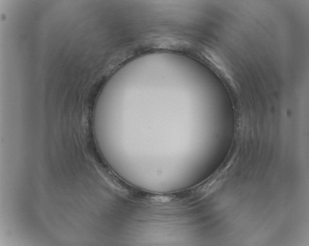 X0000089860265200706281017