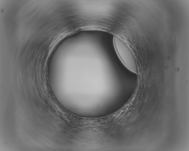 X0000089860289200706281016