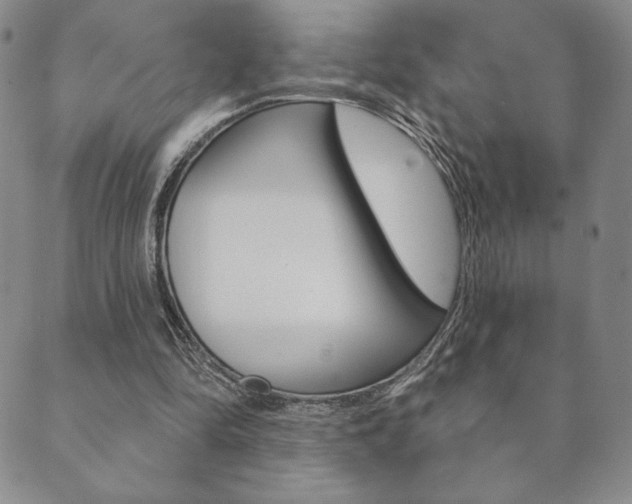X0000089860294200706281016