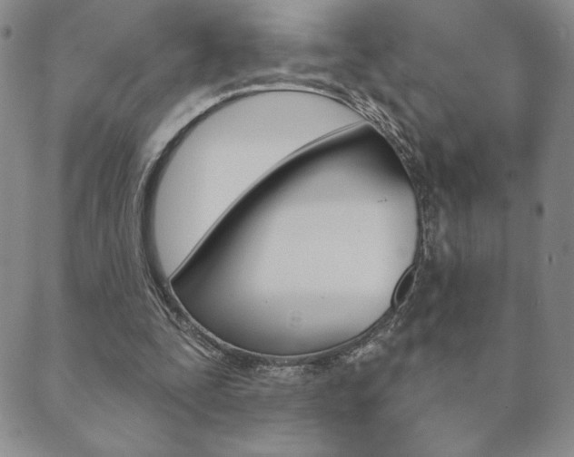 X0000089860295200706281016