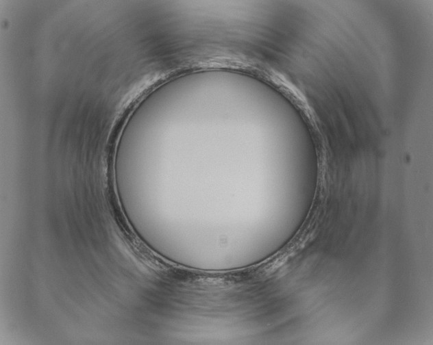 X0000089860298200706281016