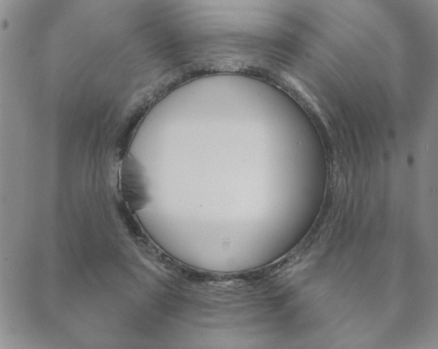 X0000089860307200706281016