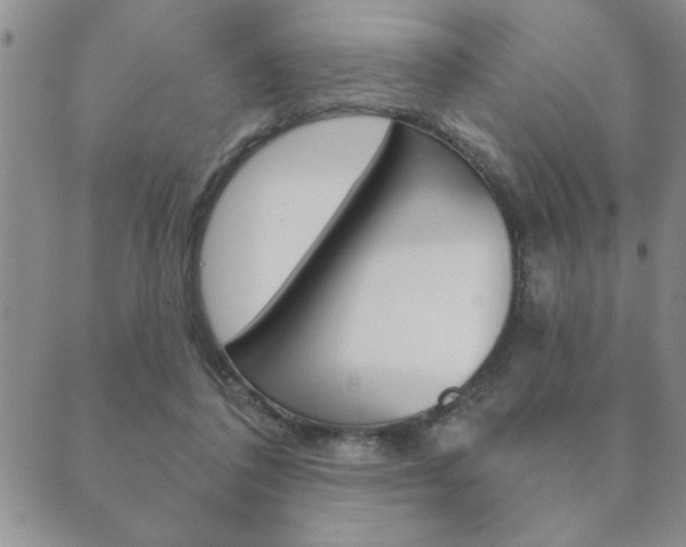 X0000089860308200706281016