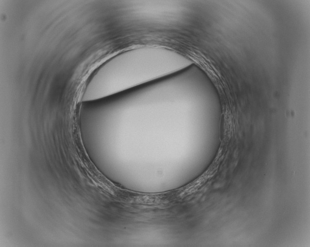 X0000089860338200706281015