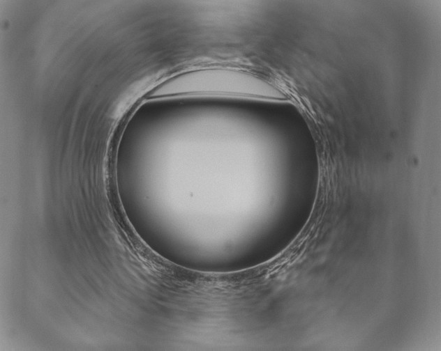 X0000089860340200706281015