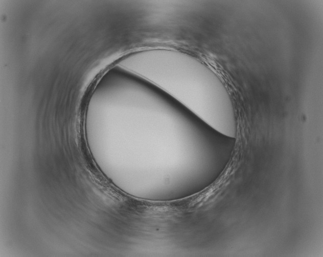 X0000089860342200706281015
