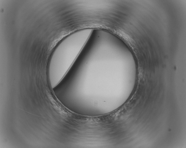 X0000089860345200706281015
