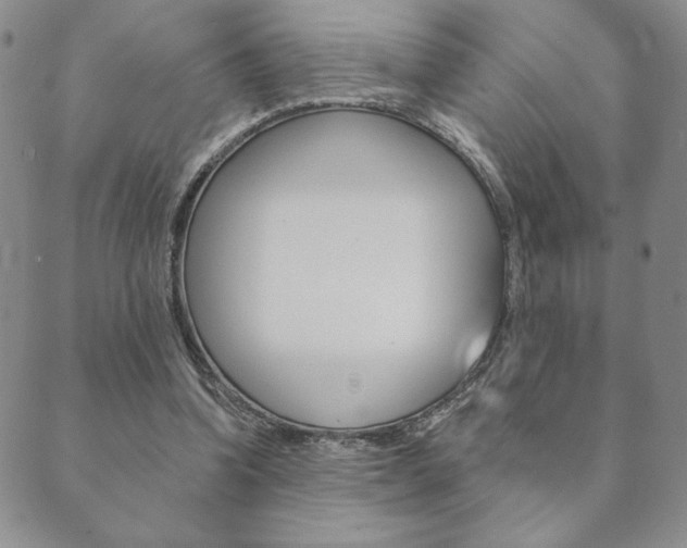 X0000089860346200706281015