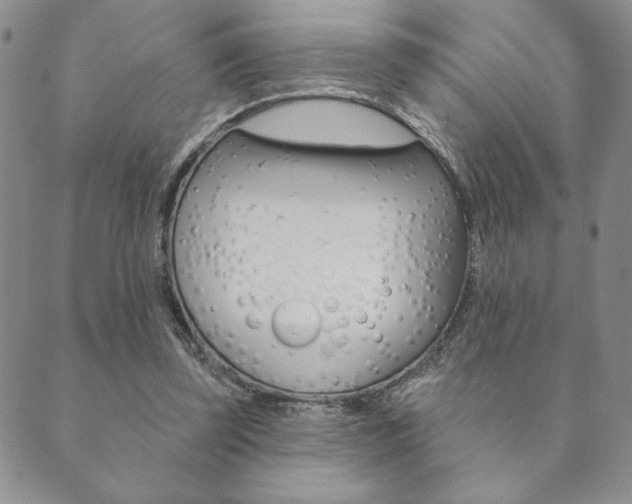 X0000089860347200706281015