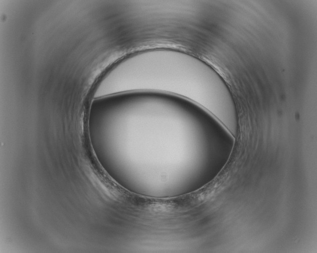 X0000089860350200706281015