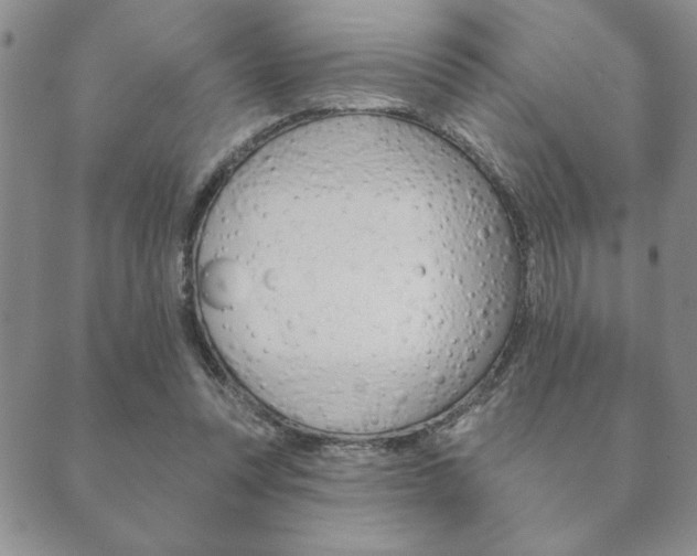 X0000089860351200706281015