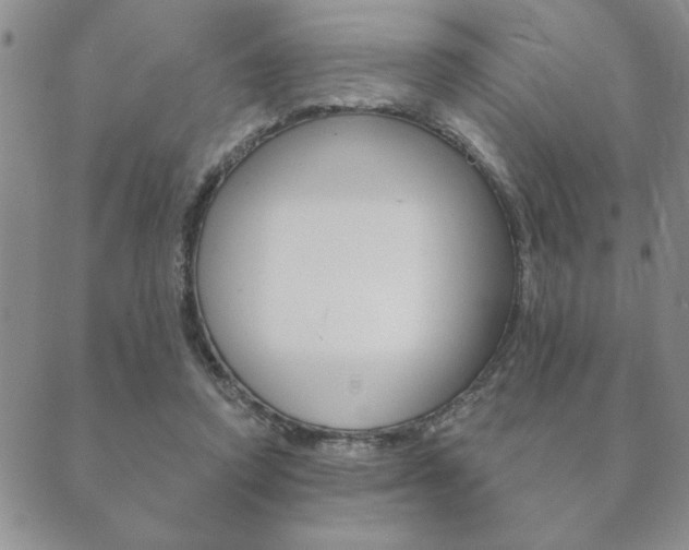 X0000089860354200706281015