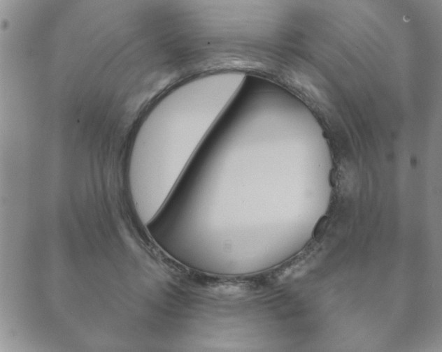 X0000089860358200706281015
