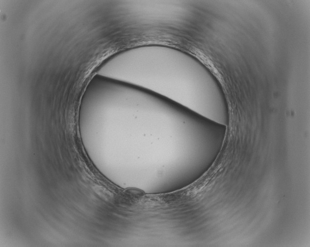 X0000089860386200706281015