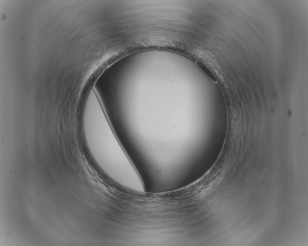 X0000089860395200706281015