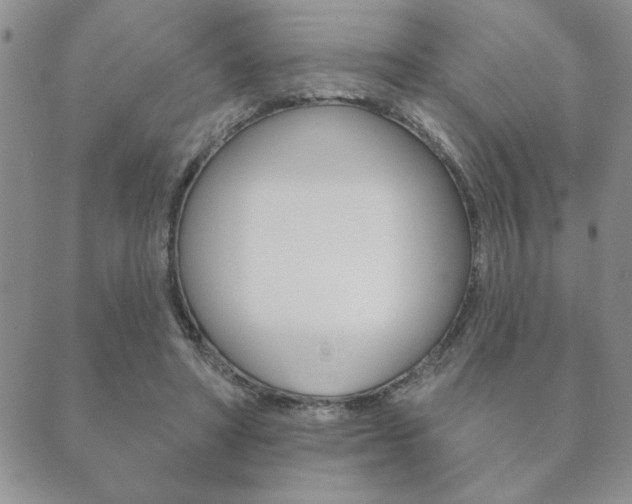 X0000089860402200706281014