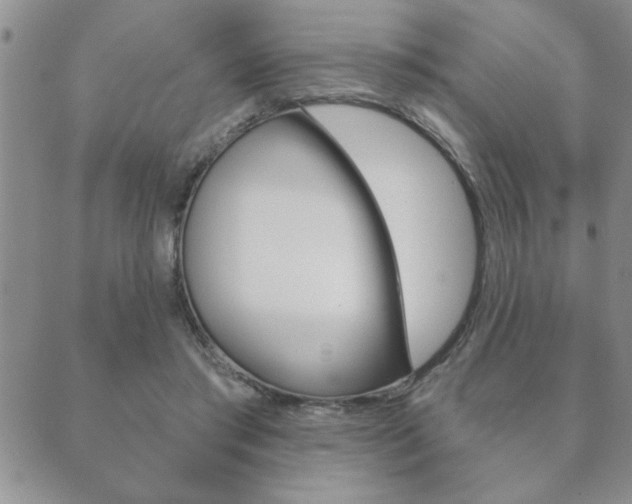 X0000089860405200706281014