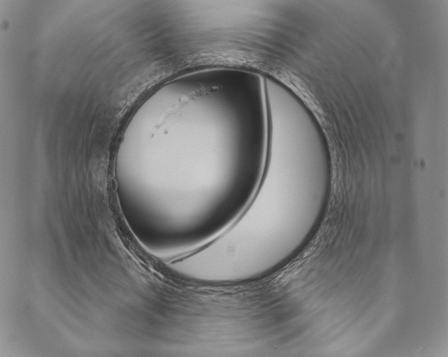 X0000089860434200706281013