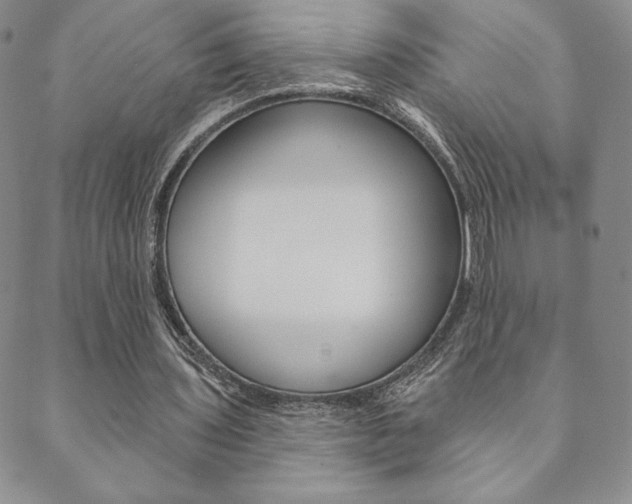 X0000089860435200706281013
