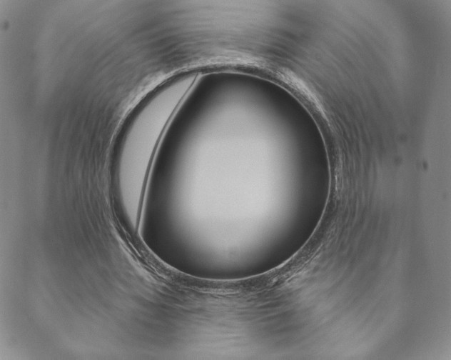 X0000089860436200706281013