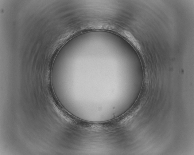 X0000089860441200706281013