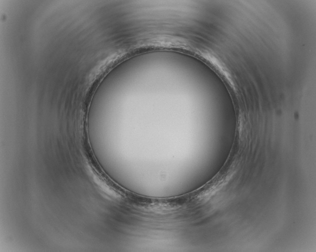 X0000089860445200706281013
