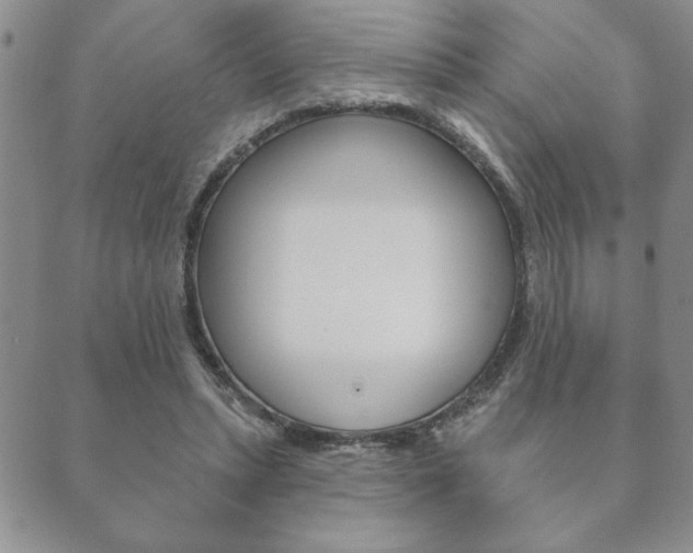 X0000089860447200706281013