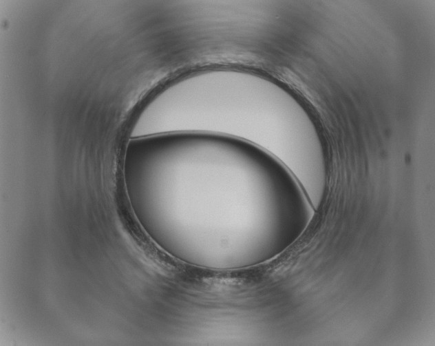 X0000089860448200706281013