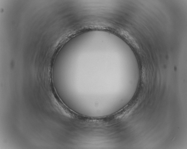 X0000089860449200706281013