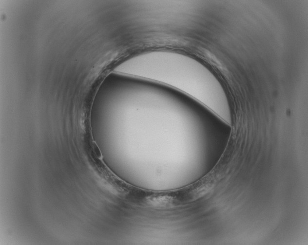 X0000089860452200706281013