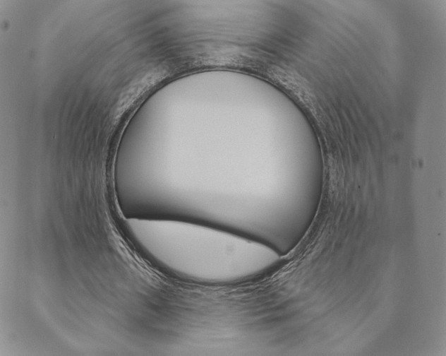 X0000089860482200706281013