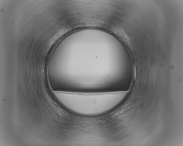 X0000089860483200706281013
