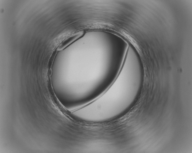 X0000089860485200706281013