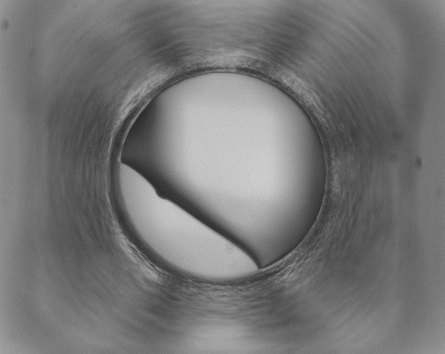X0000089860486200706281013