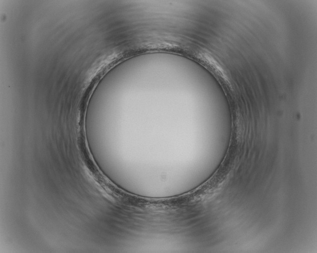 X0000089860490200706281013