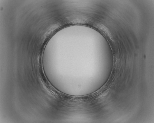 X0000089860491200706281013