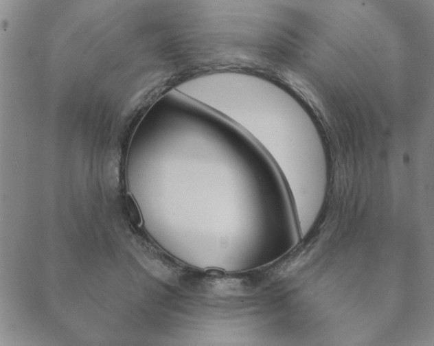 X0000089860501200706281013