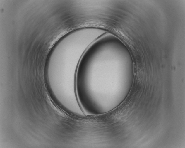X0000089860530200706281012