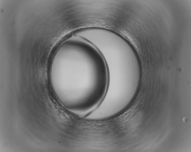 X0000089860532200706281012