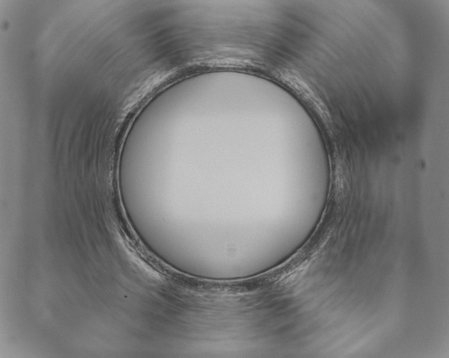 X0000089860533200706281012