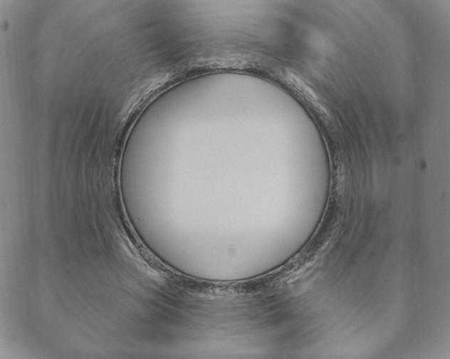 X0000089860537200706281012