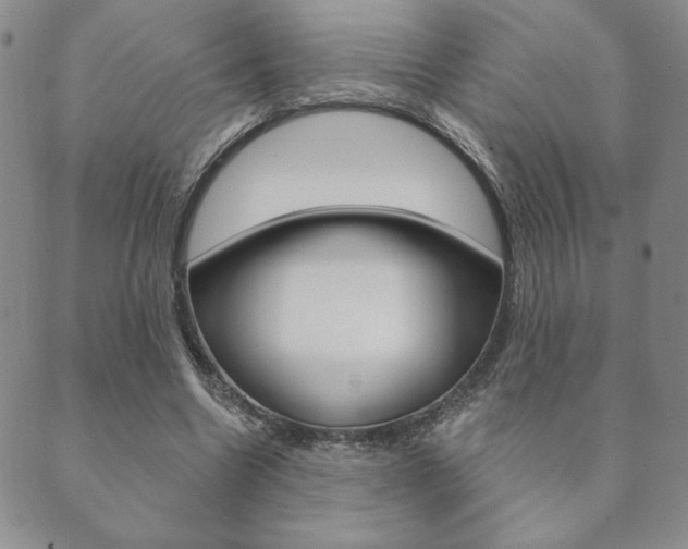 X0000089860538200706281012