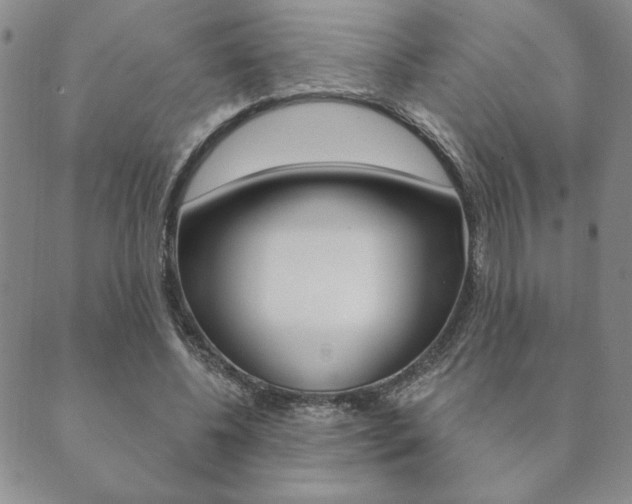 X0000089860540200706281012