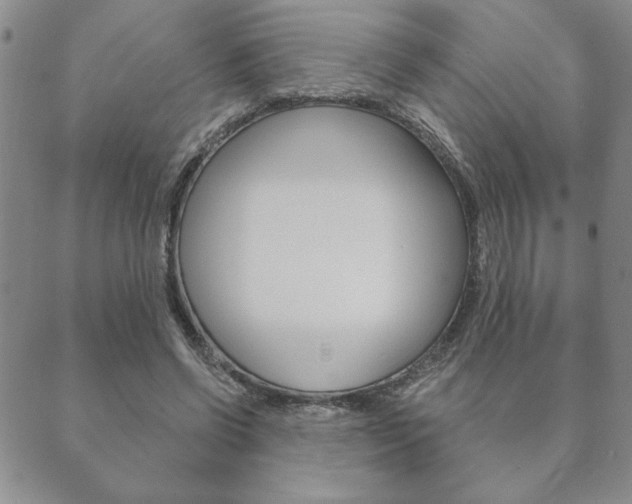 X0000089860542200706281012