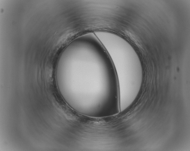 X0000089860548200706281012