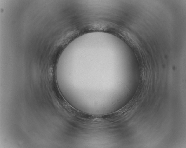 X0000089860551200706281012