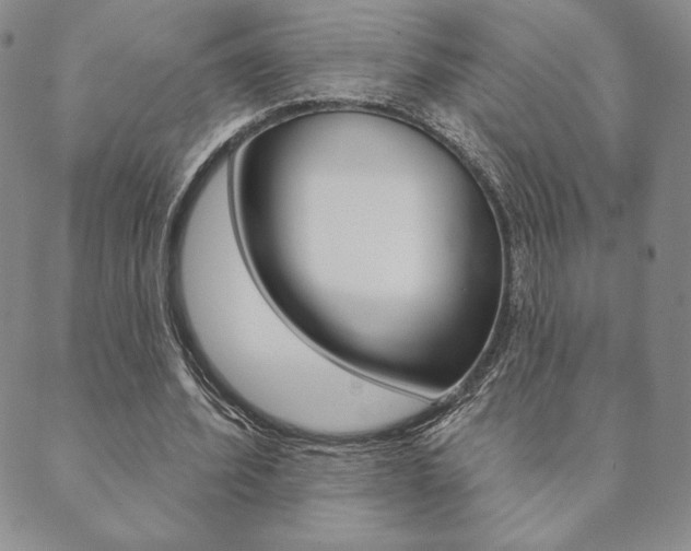 X0000089860580200706281012