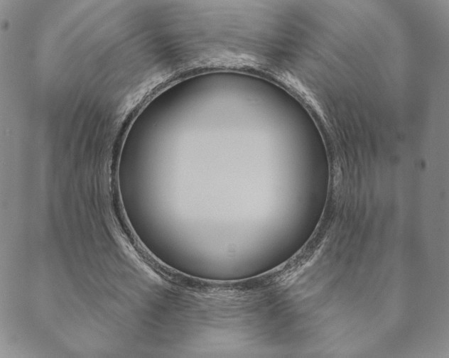 X0000089860581200706281011