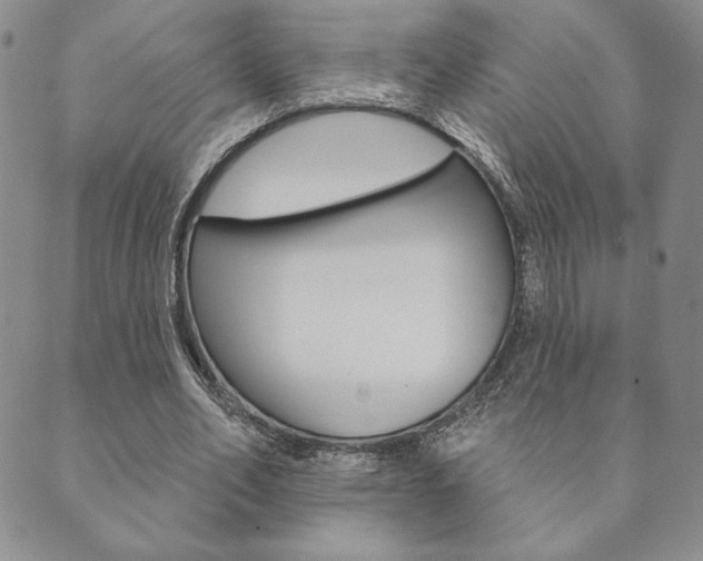 X0000089860582200706281011