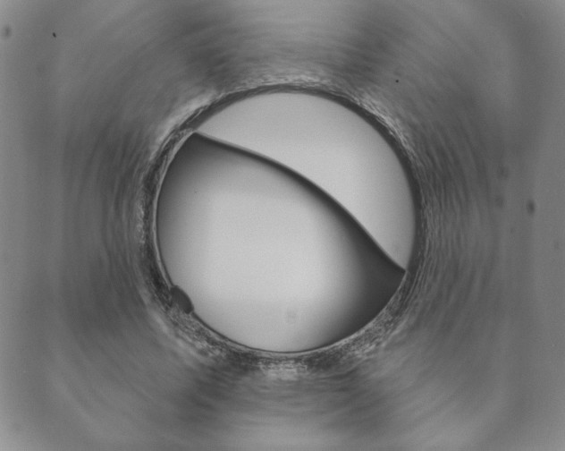 X0000089860587200706281011